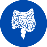 Mide ve Bağırsak Tümörleri