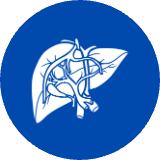 Karaciğer Cerrahisi